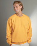 crewneck sweatshirts